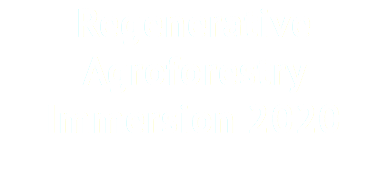 Regenerative Agroforestry Immersion 2020